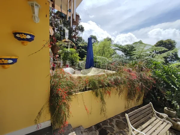 Increíble Propiedad Campestre en Rionegro: Tu Refugio Ideal - Image 5
