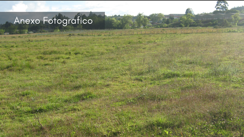 Captura de pantalla 2024-10-03 121833