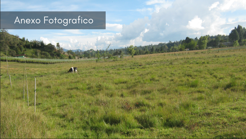 Captura de pantalla 2024-10-03 121910