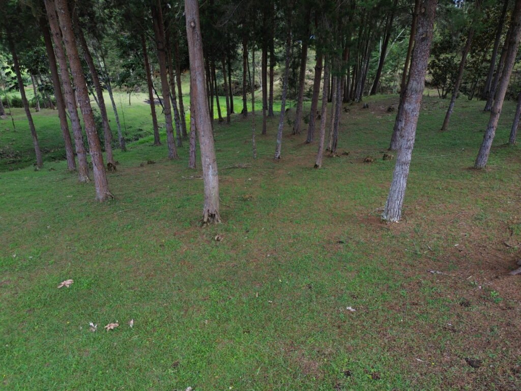 DCIM100MEDIADJI_0329.JPG