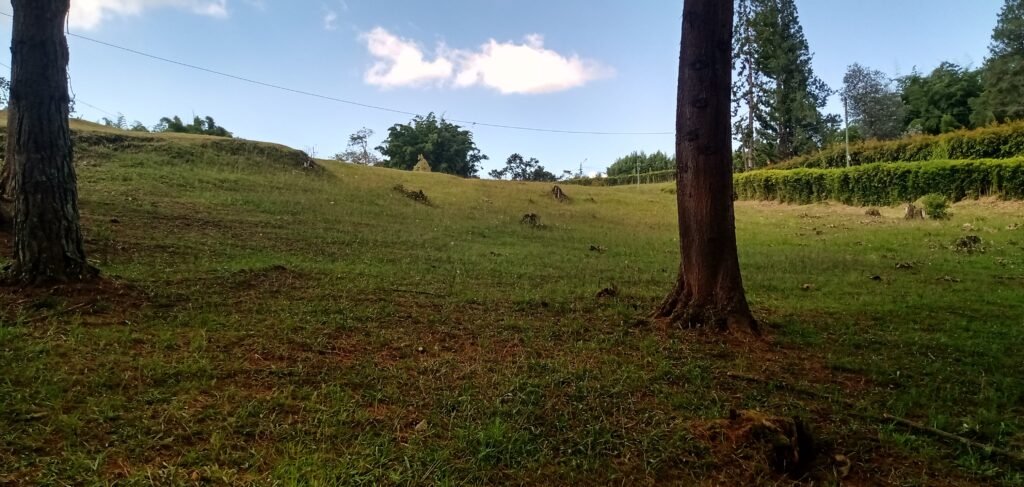 IMG_20241001_143415334_HDR